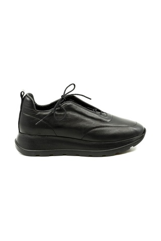 Dexter Tp22126-61 Çok Renkli
