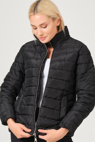 Dewberry Bayan Mont Z6746