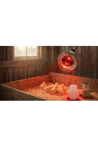 Isıtıcılı Ampul Infrared 250w Kırmızı Işık