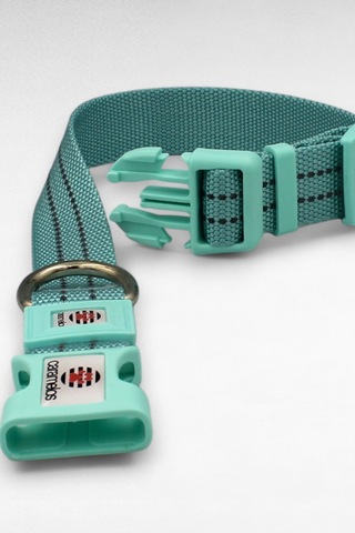 Caramelos Reflektörlü Köpek Tasması, Kişiye Özel Köpek Tasması. Büyük Ive Orta Irk Köpek Tasması Sy Mavi