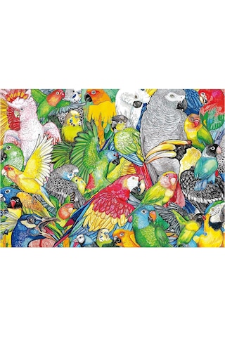 Educa 500 Parça Papağanlar / Parrots Puzzle - 19547