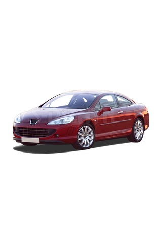 Peugeot 407 Krom Kapı Kolu 2 Kapı 2004-2010