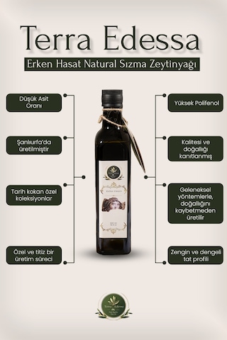 Terra Edessa Olio High Quality Olive Oil Erken Hasat Natürel Sızma Zeytinyağı - 500 Ml - Mezopotamya'nın Bereketli Lezzeti