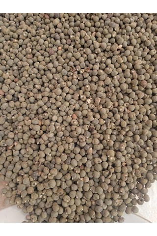 Bamya Tohumu Yerli 500 Gr İlaçsız- Yenilebilir 1. Kalite Elenmiş Yeni Mahsül