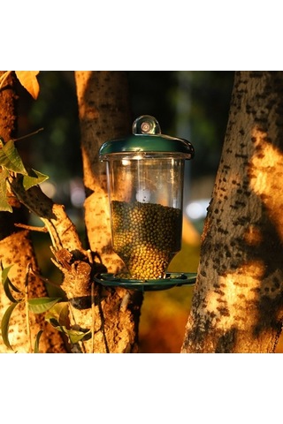 Pazly Şeffaf Açık Hava Kuş Yemliği, Pencere Asılı Sinek Kuşu Bahçe Yemliği