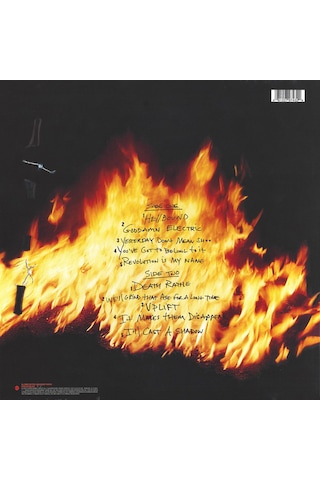 Pantera Reinventing The Steel / Plak