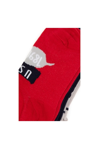 U.s. Polo Assn. Erkek Çocuk Kırmızı Çorap Patik 50311347-vr030 Kırmızı