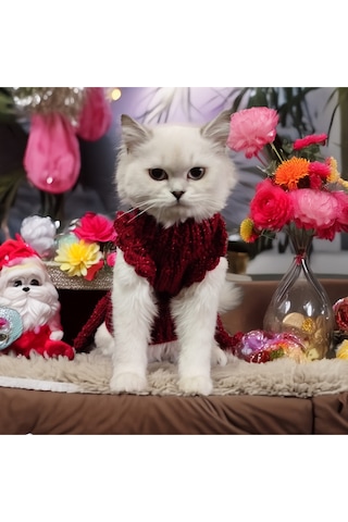 Kedi Ve Köpek İçin Kırmızı Kuyruklu Yıldız Kazak