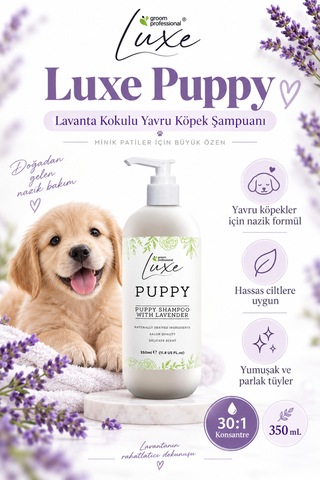 Groom Professional Luxe Lavanta Kokulu Yavru Köpek Şampuanı 350 Ml 1:30 Konsantre