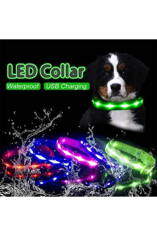 Honeybeeshop 1000 Metre Görüş Mesafeli Şarj Edilebilir Gece Yürüyüşleri İçin Köpek Ve Kedi Tasması Light Blue L Çoklu Renk Ve Beden Seçeneği Altın