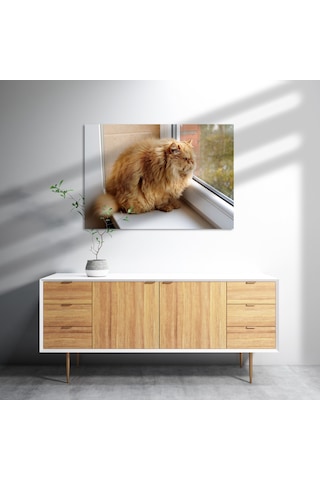 Cakasepetim Pencerede Şişman Kedi Ahşap Mdf Tablo