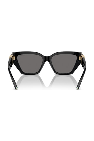 Tf 4218 800181 55 Tiffany & Co Güneş Polarize Gözlüğü