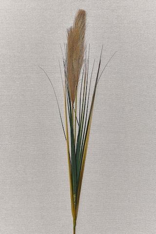 Pasabahce Grass 92 Cm Kahverengi - 1 Adet Kahve