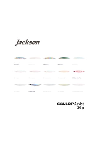 Jackson Gallop Assist 20Gr Jig Yem
