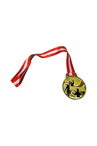Avessa Mad-vol-2 Voleybol Figürlü Madalya 6,5 Cm Çok Renkli