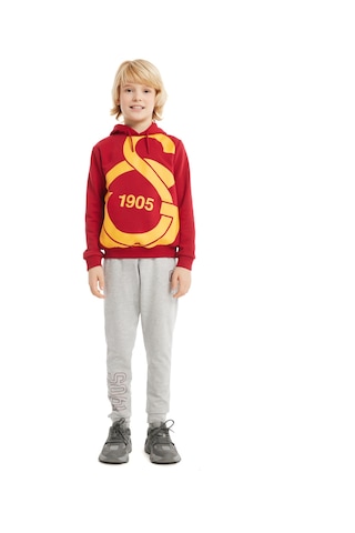 Galatasaray Büyük Logolu Çocuk Sweatshirt C88154 Kırmızı