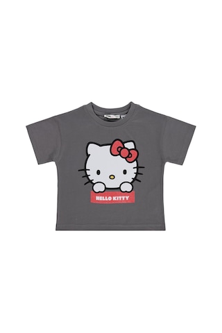 Hello Kitty 2-5 Yaş Tişört - Gri Çok Renkli