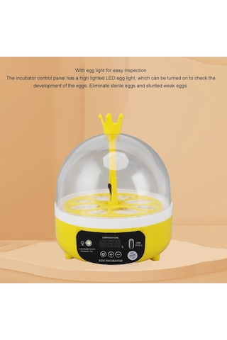 Qfbl Çocuklar Için 4 Yumurta Kuluçka Makinesi, Dijital Kuluçka