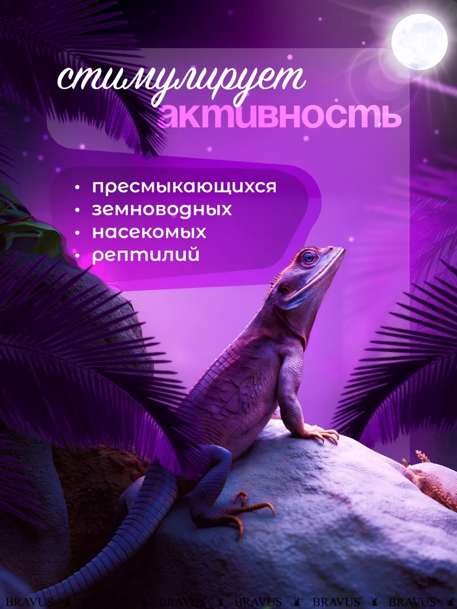 Bravus Terraryum Kaplumbağaları İçin 50w Fito Işıklı Gece Lambası 320422162