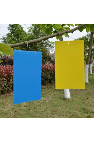 Homyl 10 Adet Yapışkan Tuzaklar Tutkal Uçan Böcek Mavi