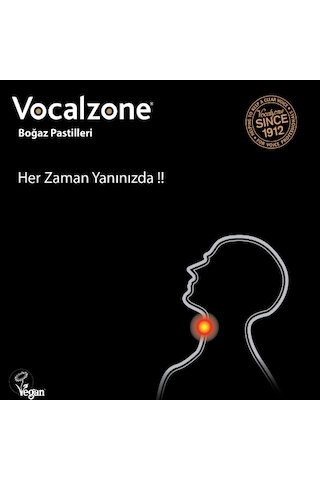 Vocalzone Klasik 12 Pastil