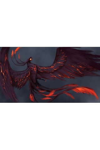 Concord Mp-305 Desenli Mouse Pad 250 X 300 X 3 Mm