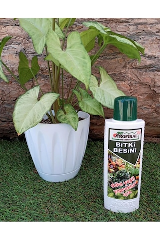 Bitki Besini 1 Adet 225 Ml Yeşil Yapraklı Bitkiler Için Sıvı Gübre Vitamini Benjamin Diğer