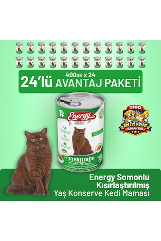 Energy Somonlu Kısırlaştırılmış Yaş Kedi Maması 400 G - 24 Adet
