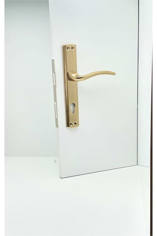 Özen Trim Titanyum Lüx Aynalı Yale Çelik Kapı Kolu Sol Basar Tek Yön