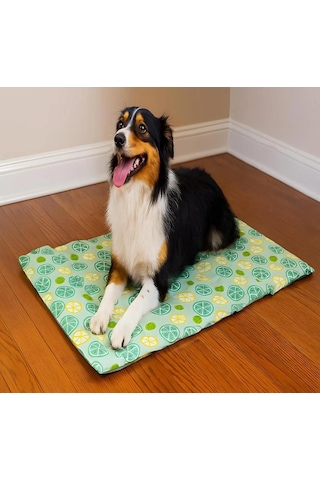 Pawise Serinletici Mat M 50x40 Cm Çiçek Desenli