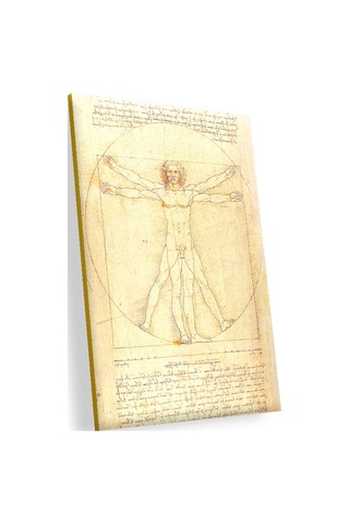 Cakasepetim Leonardo Da Vinci İnsan Anatomisi Görseli Ahşap Mdf Tablo