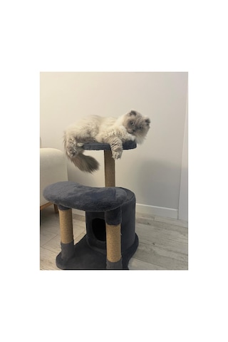 Konforlu Kedi Dinlenme Alanlı- Kedi Evi-kedi Oyun Parkı-kedi Tırmalama 75 Cm