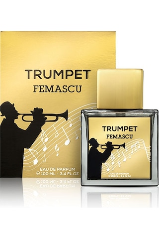 Femascu 6519 Erkek Parfüm EDP 100 ML