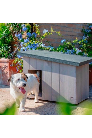 Ferplast Argo 60 Ahşap Köpek Kulübesi