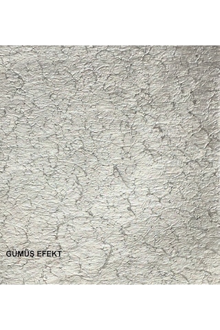 Tek Boya Endam Dekoratif Sedef Efektli Boya