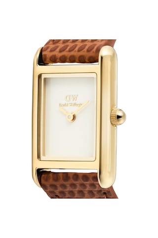 Daniel Wellington Dw00600905 Kadın Kol Saati Diğer