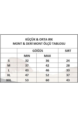 Miniş Pet Butik Ayıcık Desenli Kedi Köpek Şişme Yelek Mont