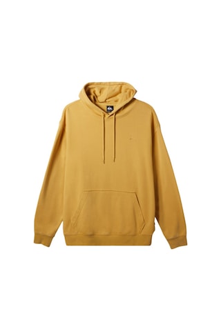Quiksilver Salt Water Hoodie Erkek Sweatshirt Renkli