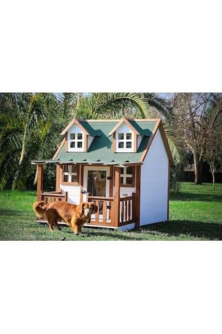 Ultra Lüks Ahşap Köpek Kulübesi Evi