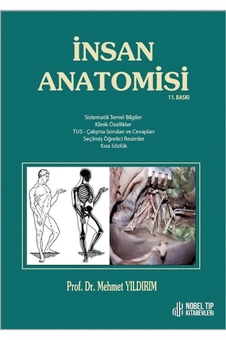 İnsan Anatomisi- Nobel Tıp Kitabevleri İnsan Anatomisi- Nobel Tıp Kitabevleri