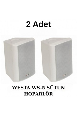 Westa Ws-5 Tw 13 Cm Trafolu Plastik Kabin Hoparlör Beyaz, 125 W 2 Adet