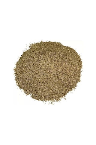 Grass Mixture 6 Karışımlı İthal Çim Tohumu 10 Kg 1 Paket