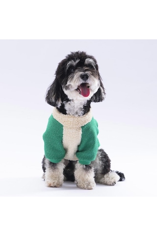 Yeşil Alaska Kedi Köpek Sweat- Kedi Köpek Kıyafeti