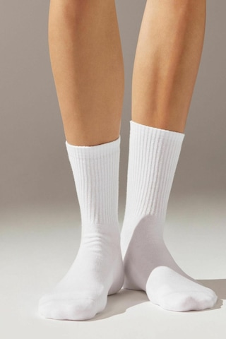 Ozzy Socks 6 Çift Logosuz Beyaz Dikişsiz Pamuklu Tenis Unisex Soket Çorap Beyaz