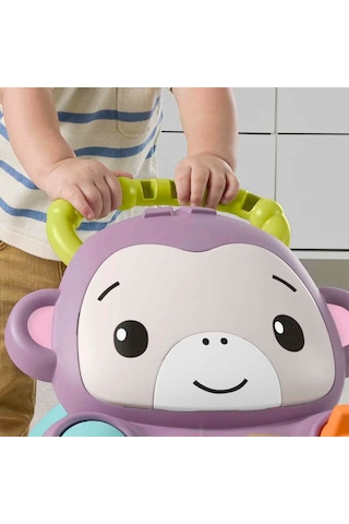 Fisher-price Benimle Öğren Mor Maymun Yürüteç Jgw94