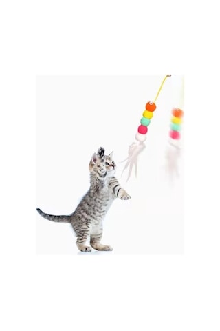 Elastik Kendinden Yapışkanlı Solucan Kedi Oltası Bx40