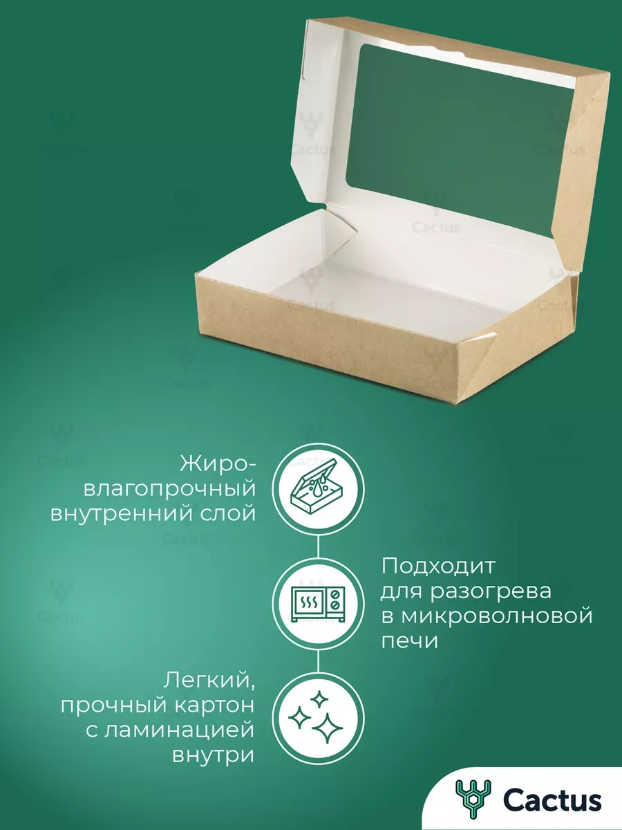 Cactus Pencereye Sahip Kraft Malzemeden Yapılmış Hediye Kutusu 171155768