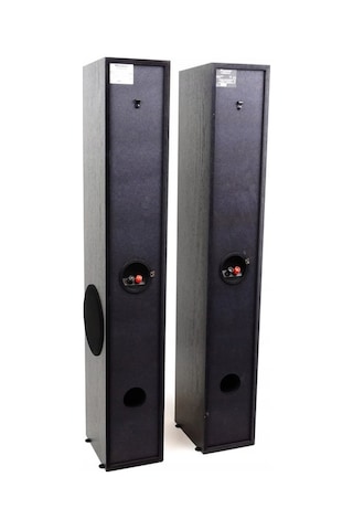 Pioneer S-ESR2-LR Kule Tipi Hoparlör
