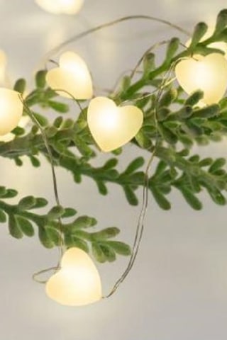 Kalpli Peri Led Işık Gün Işığı