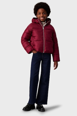 Calvin Klein Çocuk Mont Ig0ıg02730 0ks Bordo